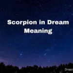 Scorpion in Dream Meaning