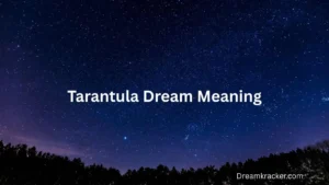 Tarantula Dream Meaning