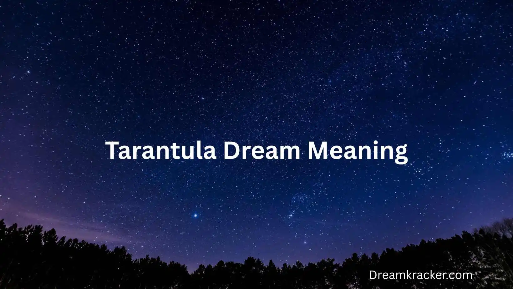 Tarantula Dream Meaning