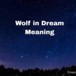 Wolf in Dream Meaning