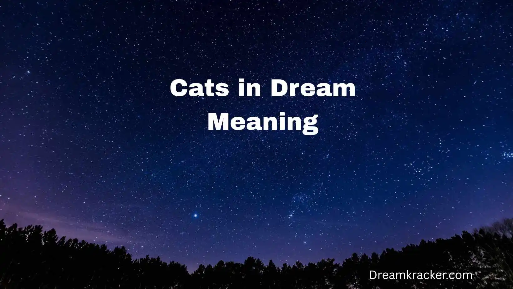Cats in Dream Meaning