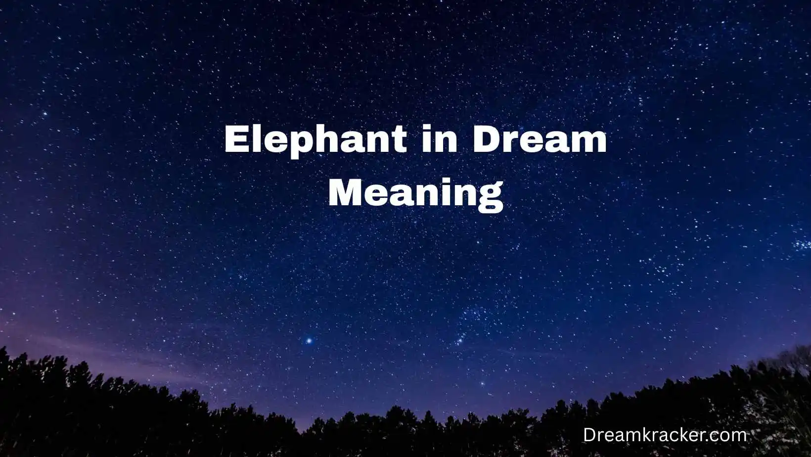 Elephant in Dream Meaning