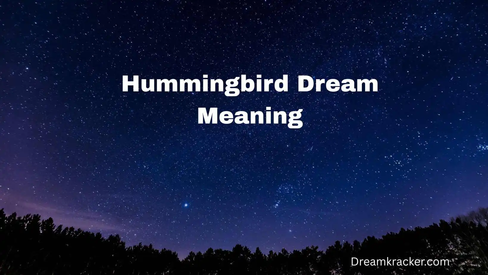 Hummingbird Dream Meaning