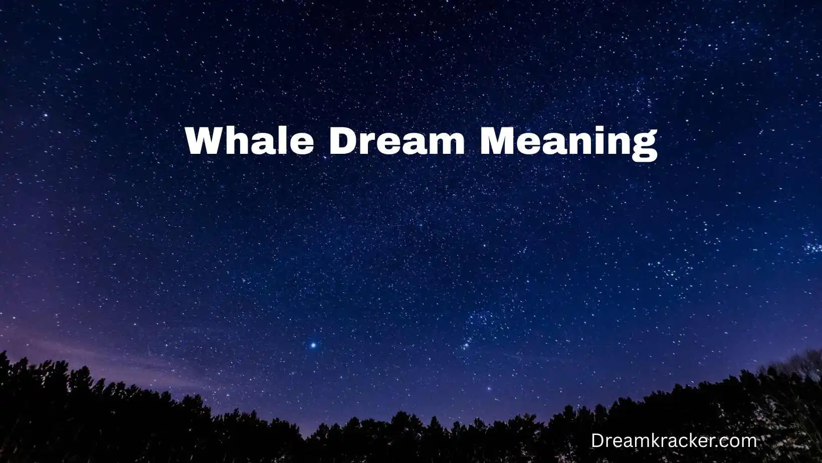 Whale Dream Meaning