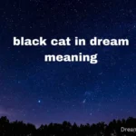 black cat in dream meaning