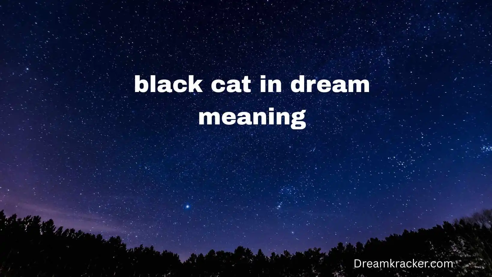 black cat in dream meaning