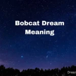 Bobcat Dream Meaning