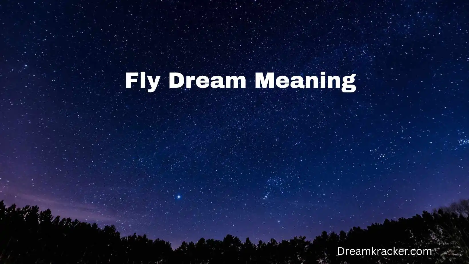 Fly Dream Meaning