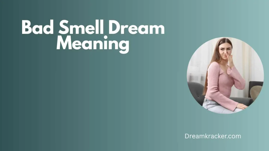 General Meaning of Bad Smell Dream