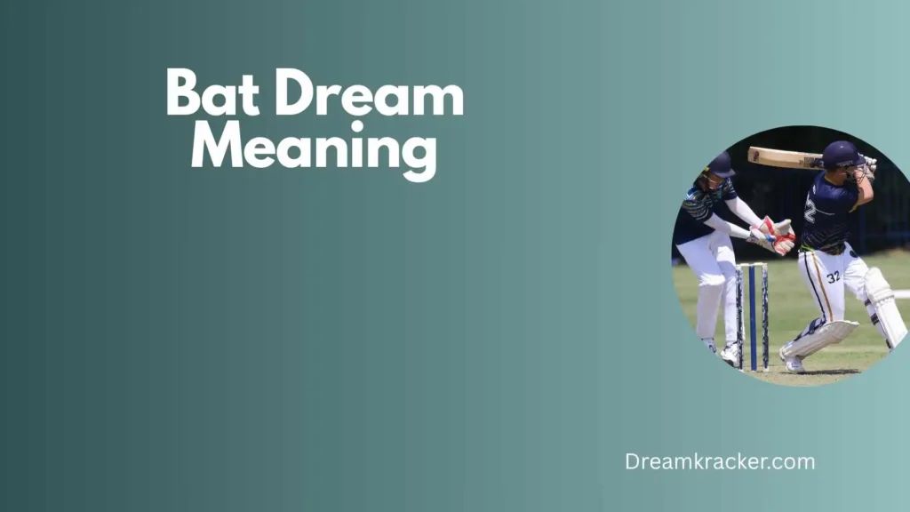 General Meaning of Bat Dream