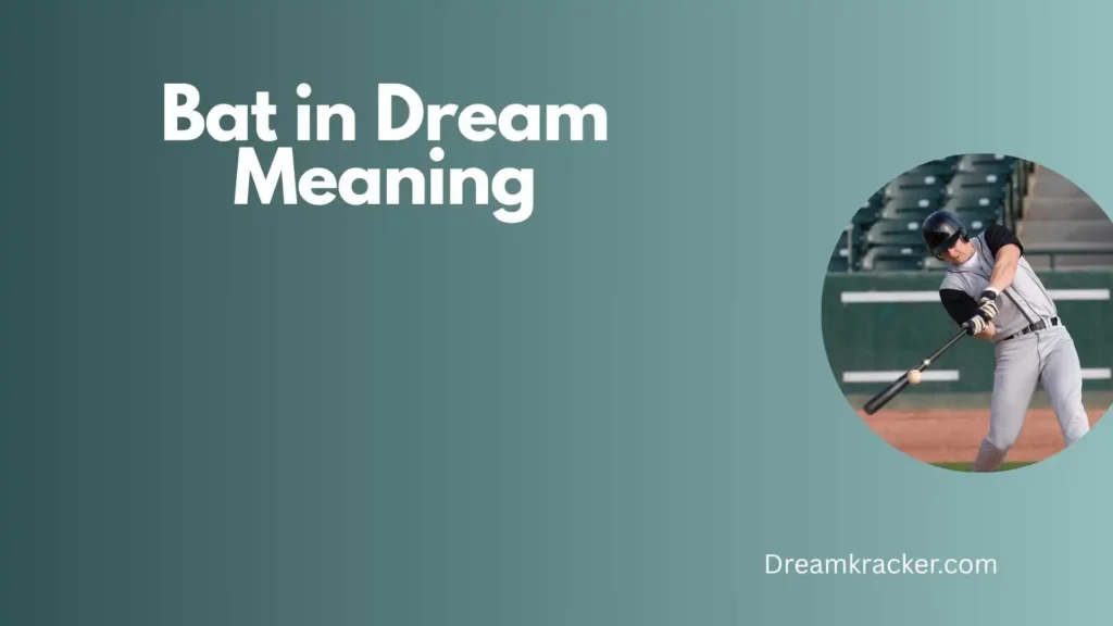 General Meaning of Bat in Dream