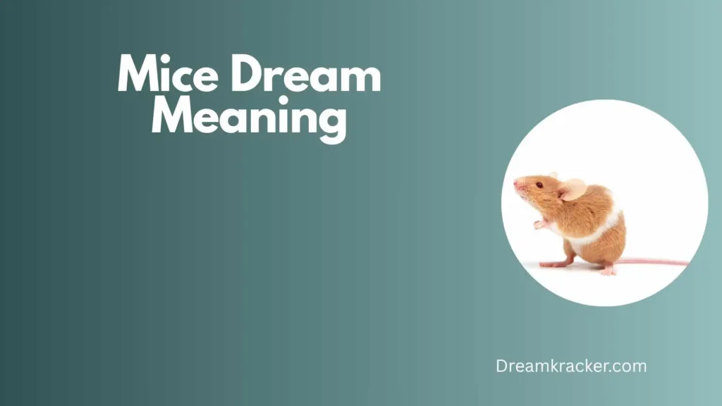 General Meaning of Mice Dream