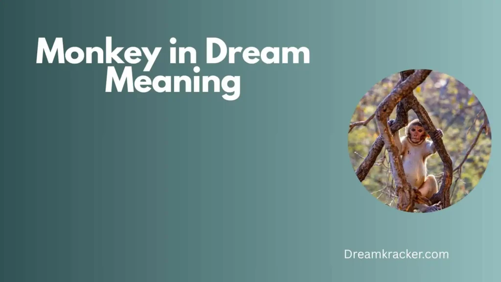 General Meaning of Monkey in Dream