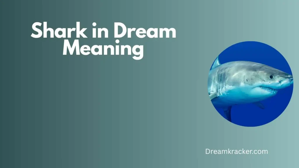 General Meaning of Shark in Dream