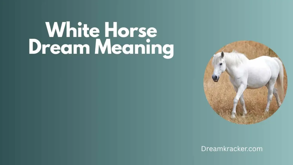 General Meaning of White Horse Dream