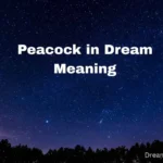 Peacock in Dream Meaning