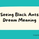 Seeing Black Ants Dream Meaning