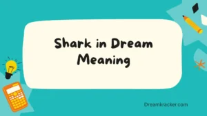 Shark in Dream Meaning