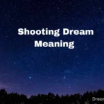 Shooting Dream Meaning