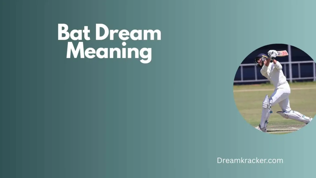 Spiritual Meaning of Bat Dream