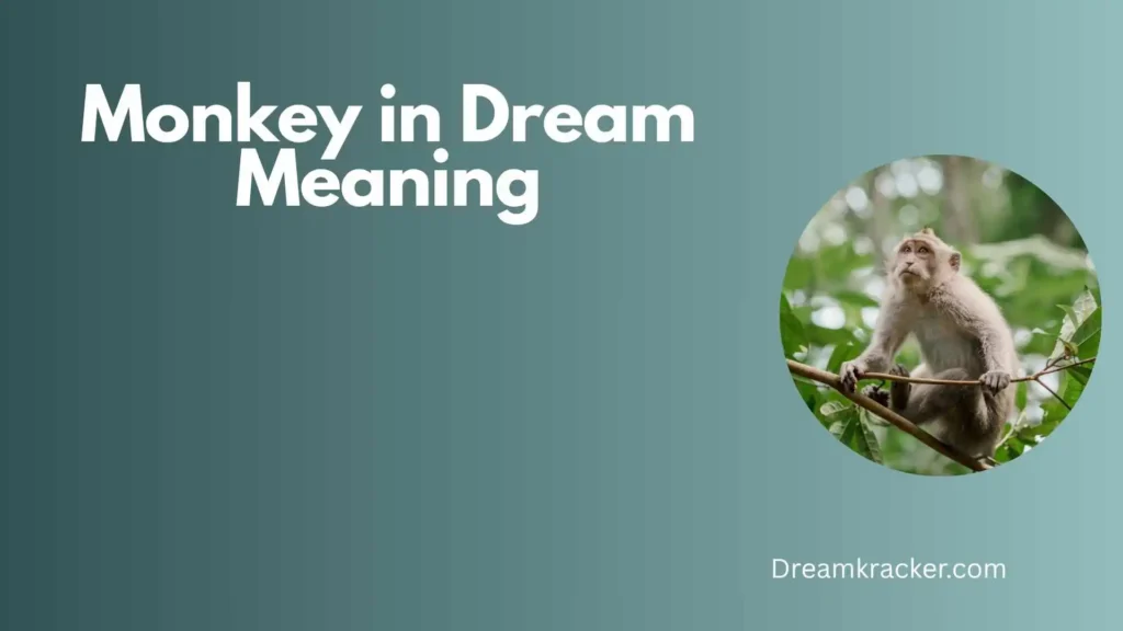 Spiritual Meaning of Monkey in Dream