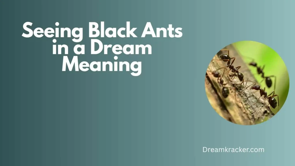 Spiritual Meaning of Seeing Black Ants Dream