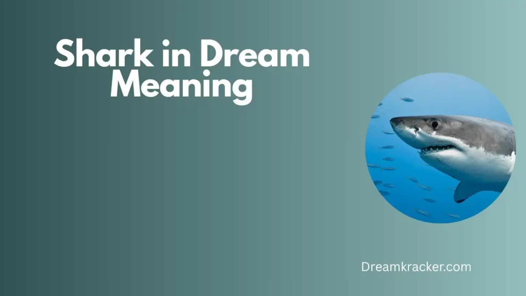 Spiritual Meaning of Shark in Dream