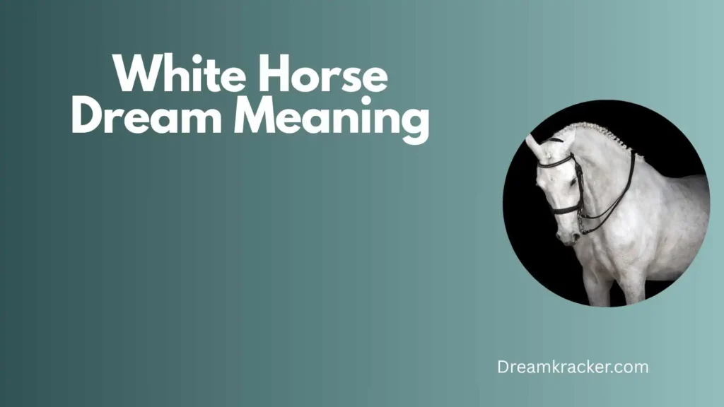 Spiritual Meaning of White Horse Dream
