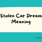 Stolen Car Dream Meaning