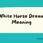 White Horse Dream Meaning