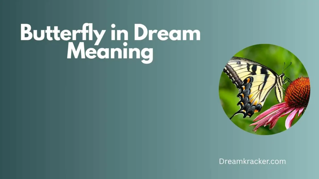 Spiritual Meaning of Butterfly in Dream