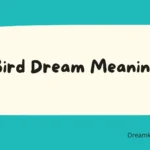 Bird Dream Meaning