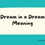 Dream in a Dream Meaning