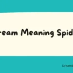 Dream Meaning Spider