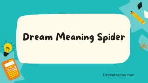 Dream Meaning Spider