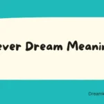 Fever Dream Meaning