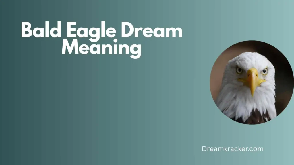 General Meaning of Bald Eagle Dream