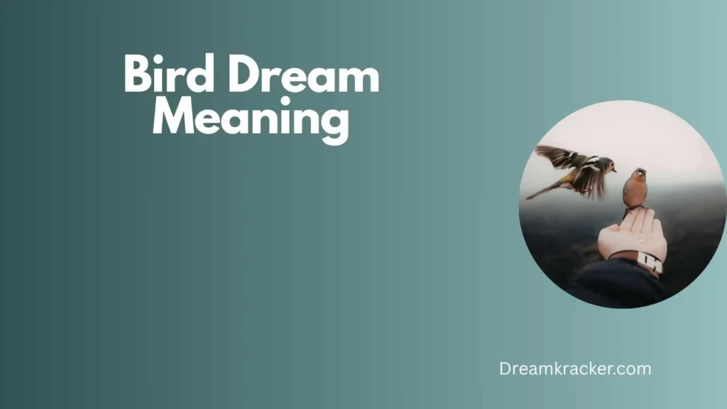 General Meaning of Bird Dream