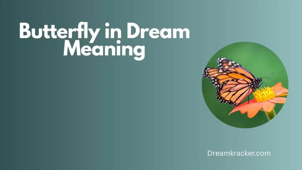 General Meaning of Butterfly in Dream