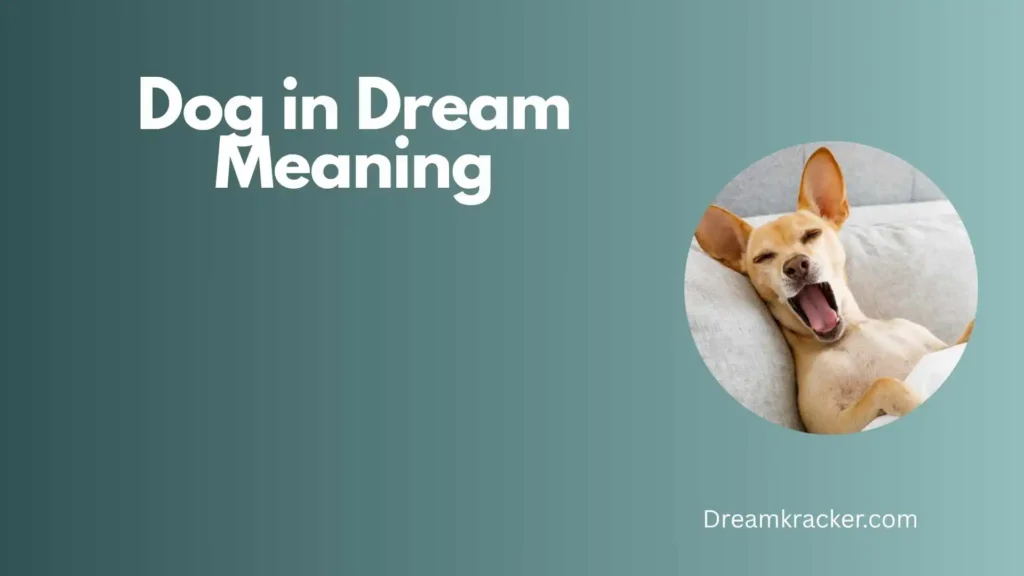General Meaning of Dog in Dream