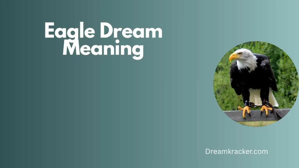 General Meaning of Eagle Dream