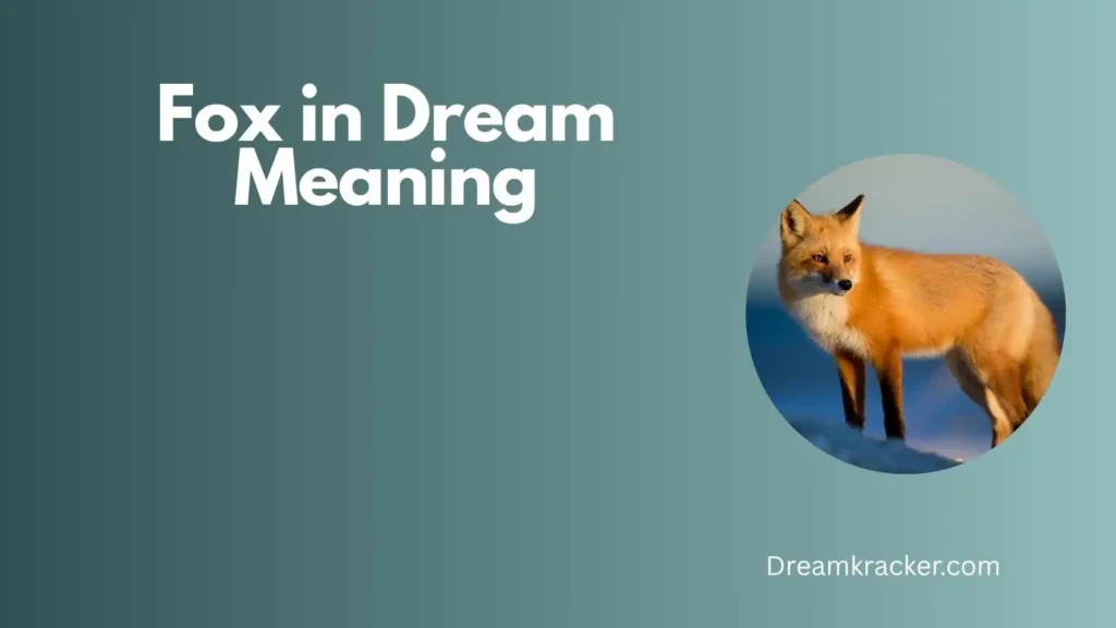 General Meaning of Fox in Dream