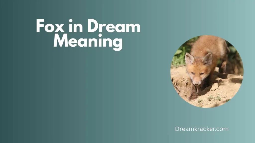 General Meaning of Fox in Dream
