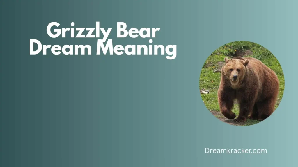 General Meaning of Grizzly Bear Dream
