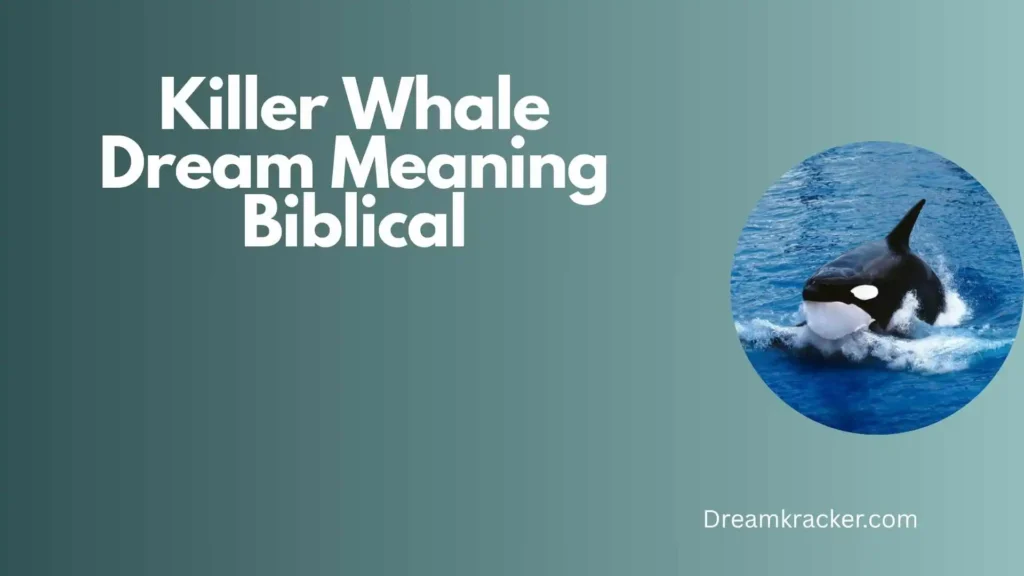 General Meaning of killer whale dream