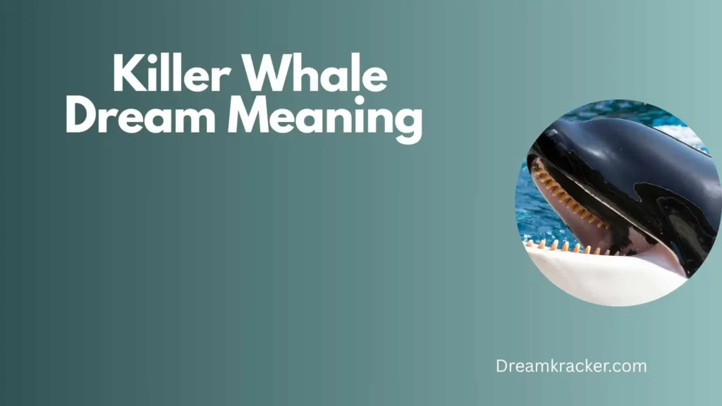 General Meaning of Killer Whale Dream