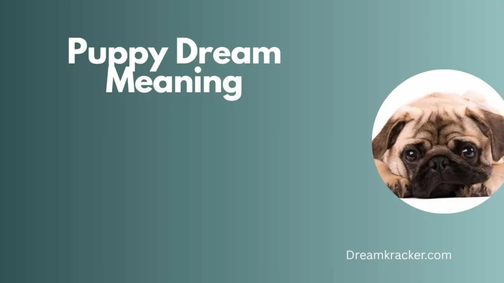 General Meaning of Puppy Dream