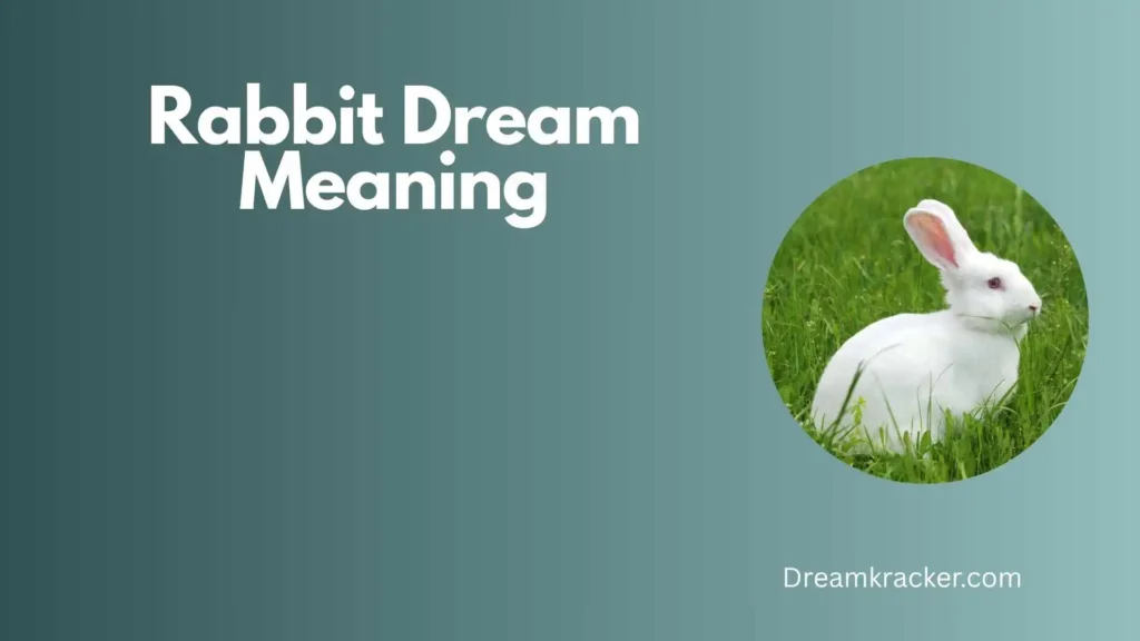 General Meaning of Rabbit Dream