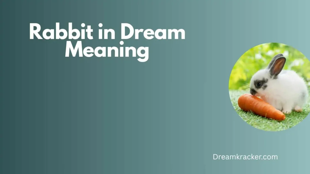 General Meaning of Rabbit in Dream