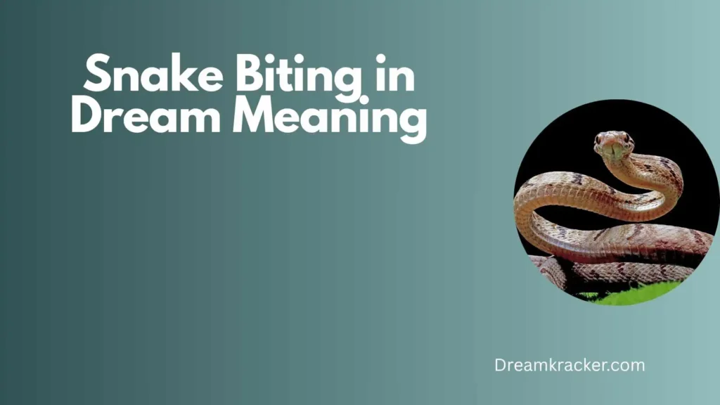 General Meaning of Snake Biting in Dream